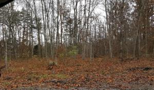 3022 Tawas Loop 34