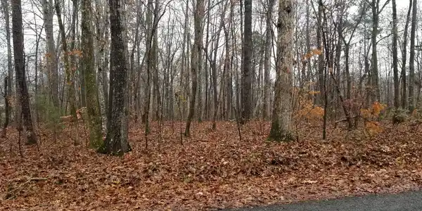 Lot /14& Coleman Rd