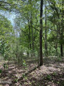 Norris View Drive