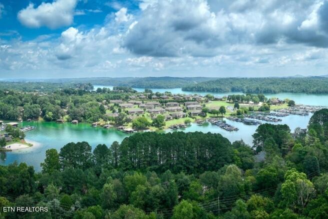 Image 4: Tellico Village