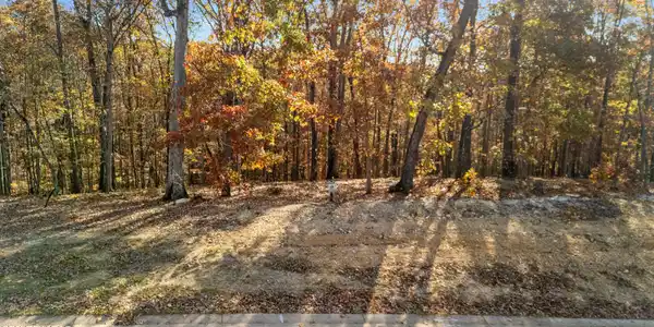 Image 3: dji_20251112095604_0700_d