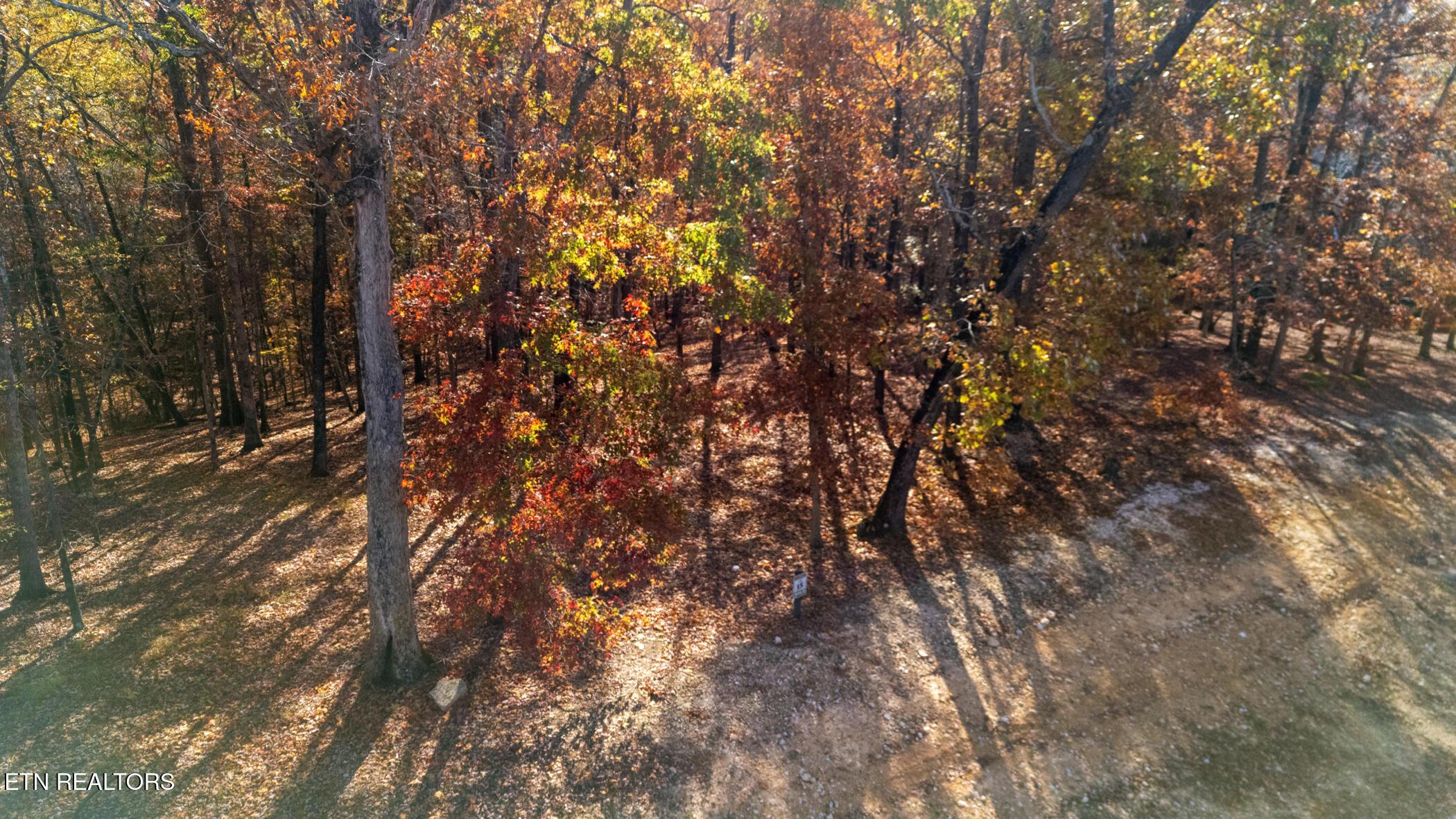 Image 4: dji_20251112101044_0765_d
