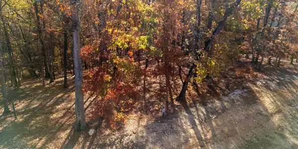 Image 4: dji_20251112101044_0765_d