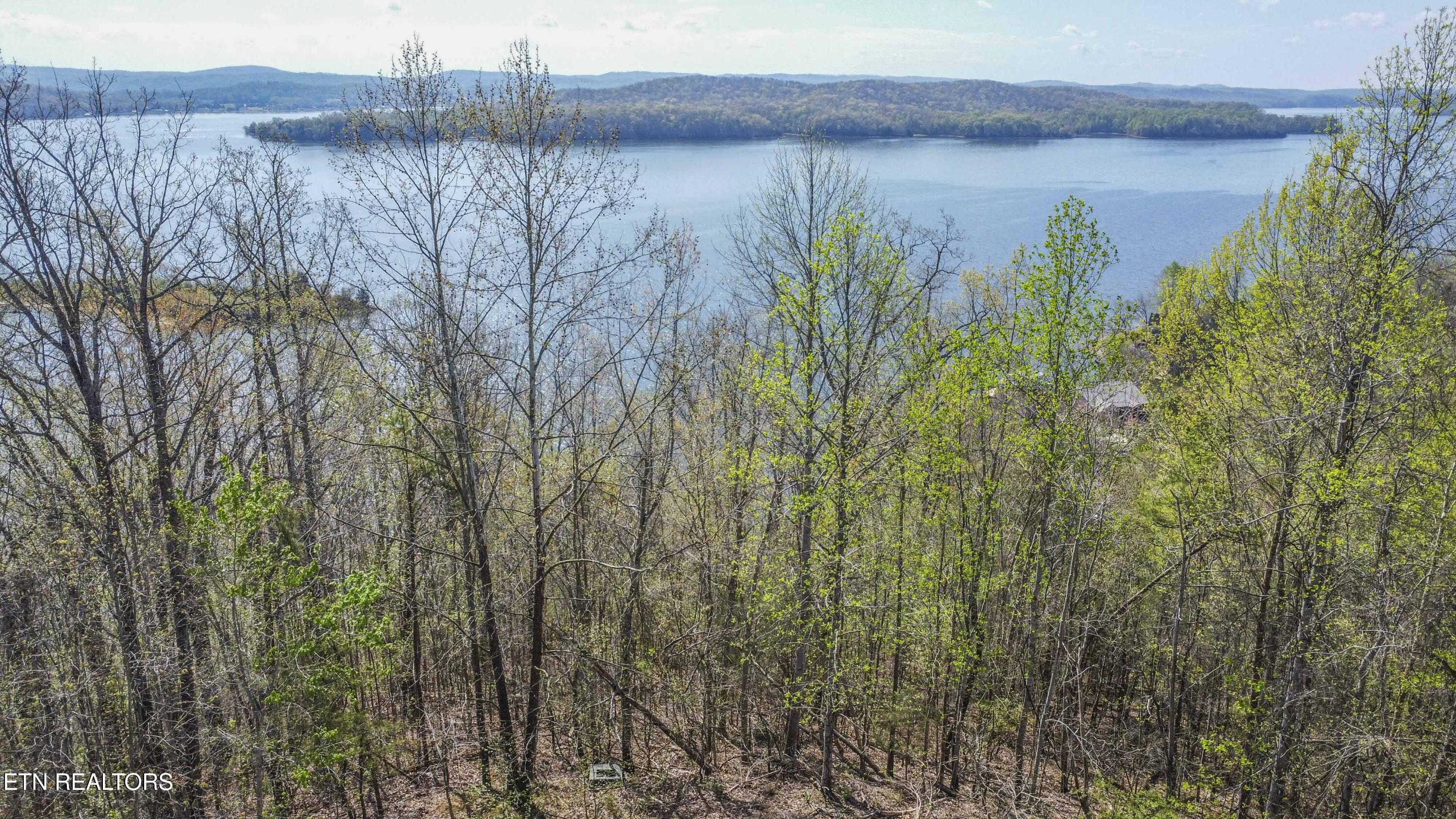 Image 3: drone 23_1