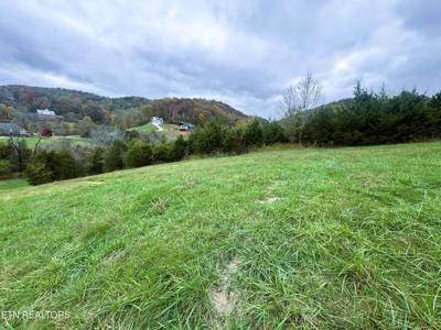 Lot 223 Nikki Street