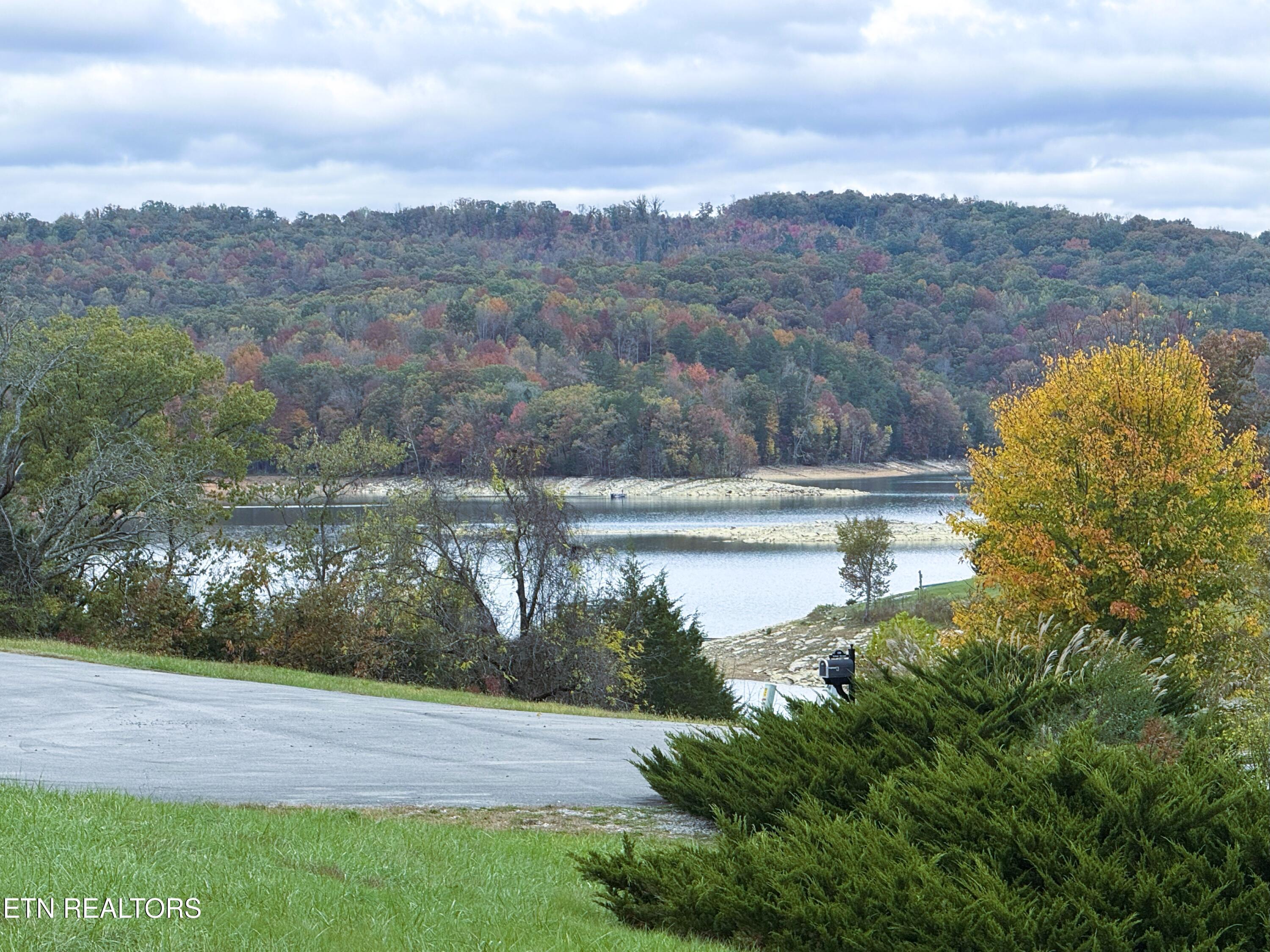 Image 3: Driveway view