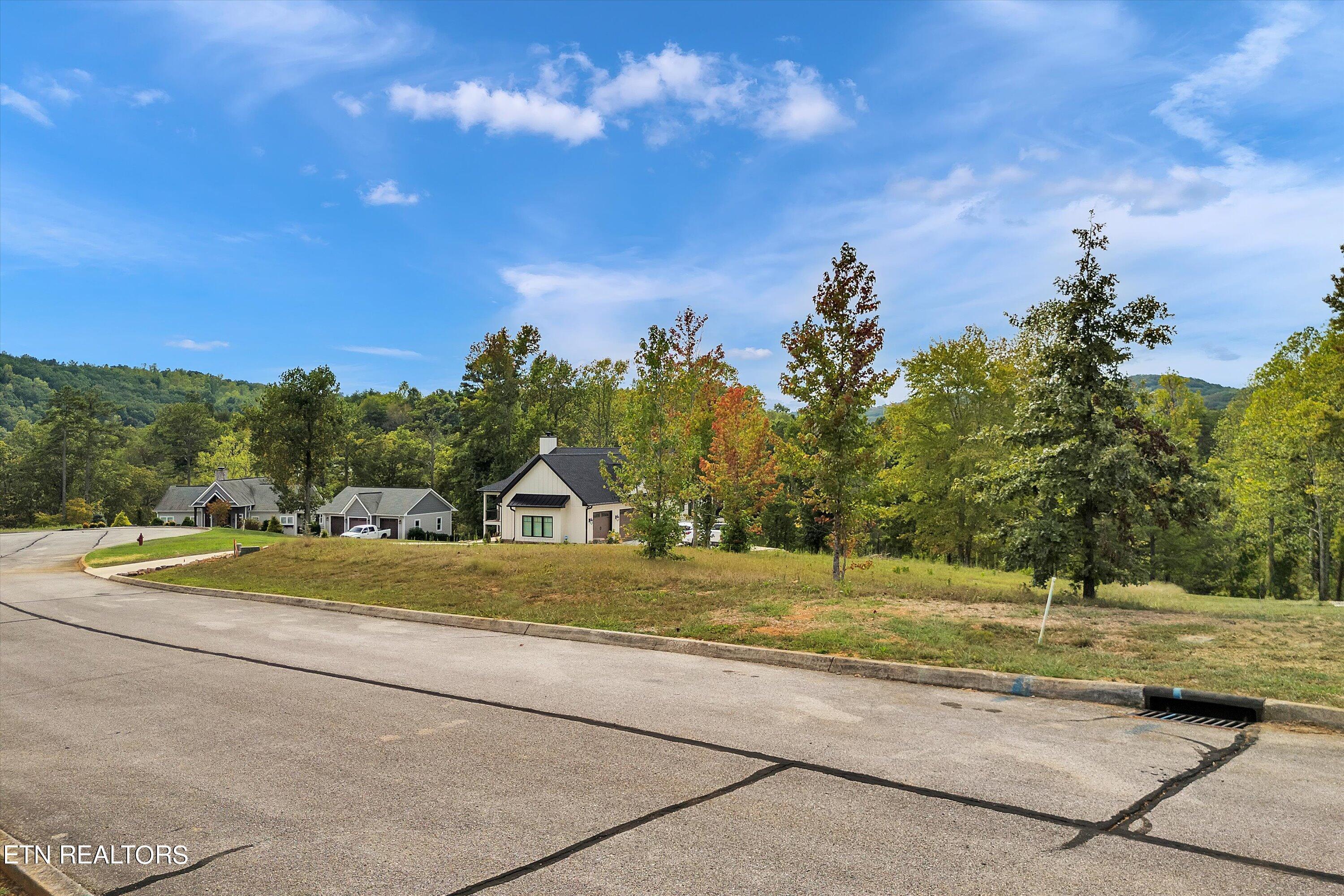 Image 2: 108 Blue Heron Bluff