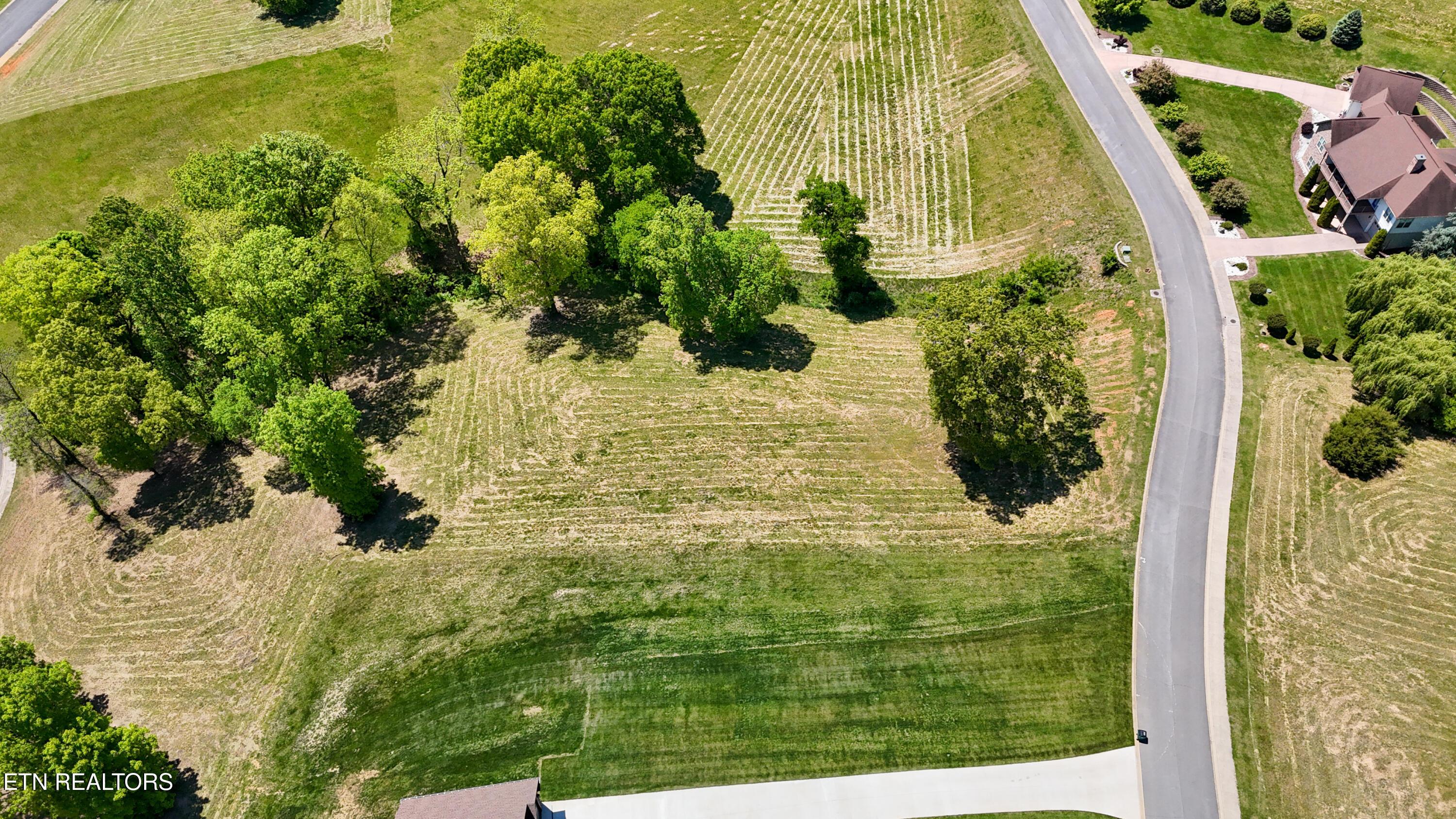 Image 2: dji_fly_20260421_131244_0522_17767930972