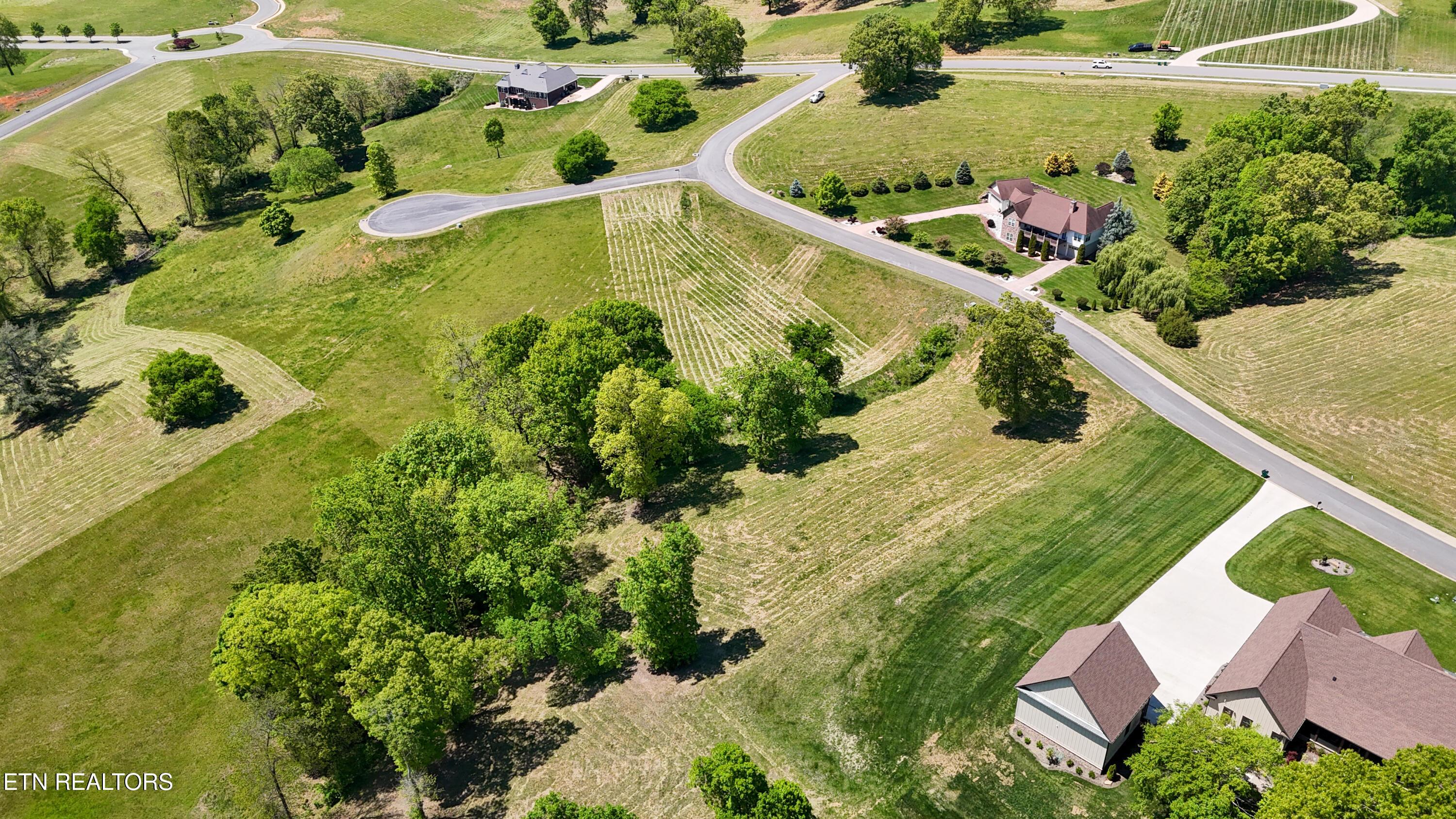 Image 4: dji_fly_20260421_131214_0520_17767930979
