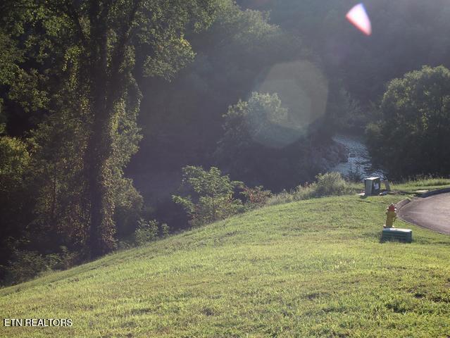 Image 2: IMG_0531