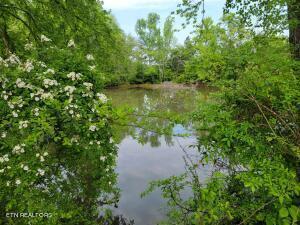 Image 3: 02