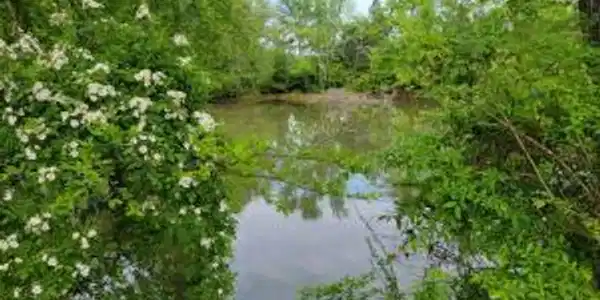 Image 3: 02