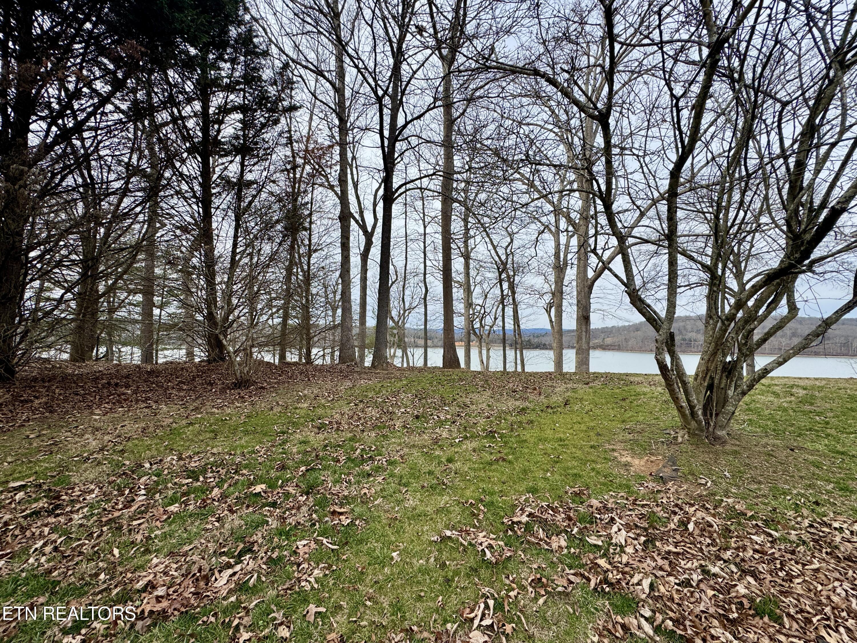 Image 4: IMG_7219