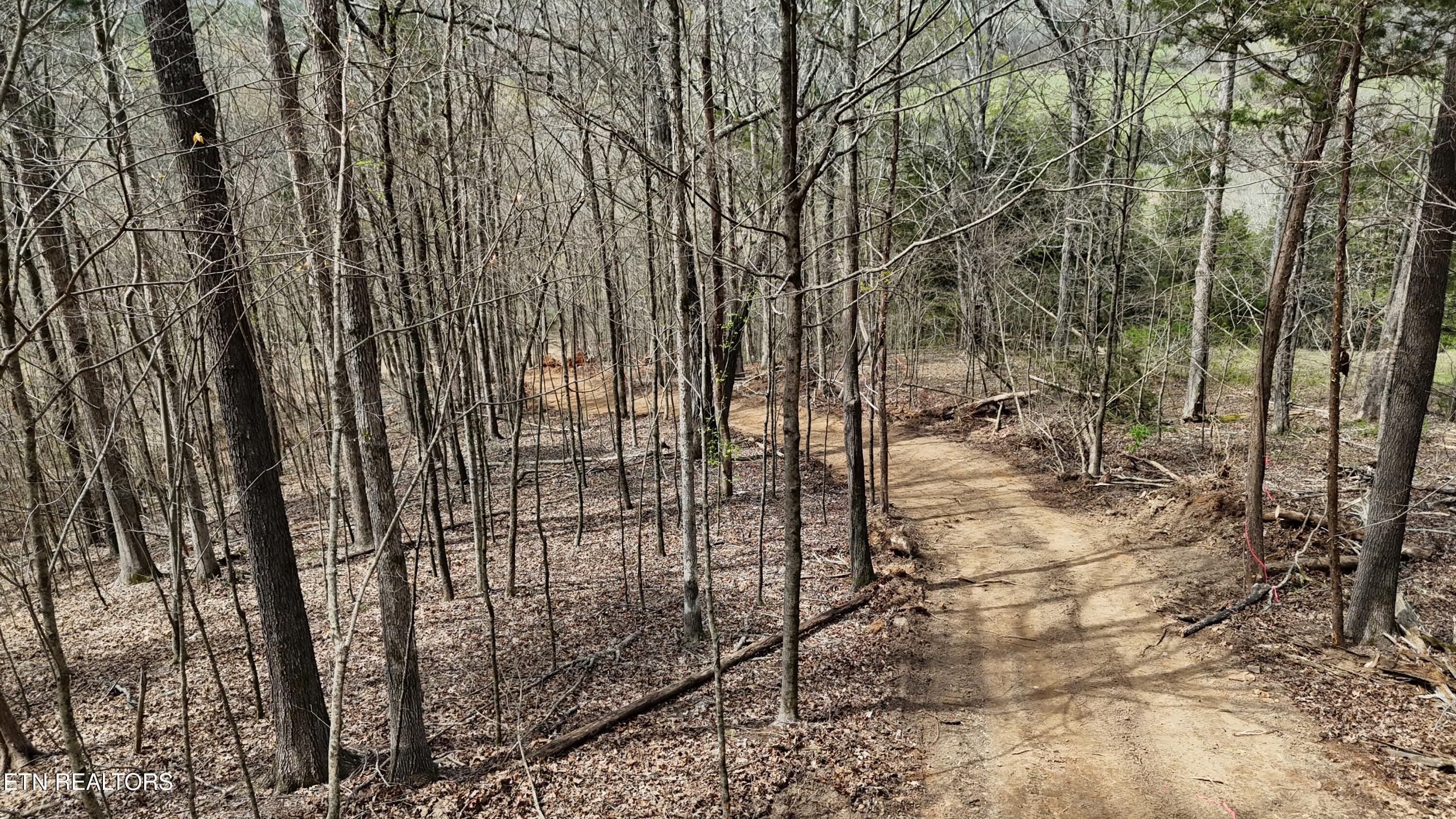 Image 2: dji_fly_20260325_134252_0271_17745556306