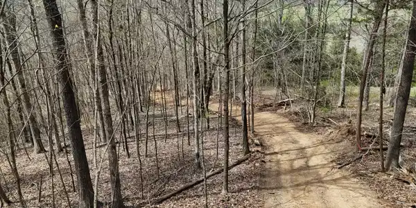 Image 2: dji_fly_20260325_134252_0271_17745556306