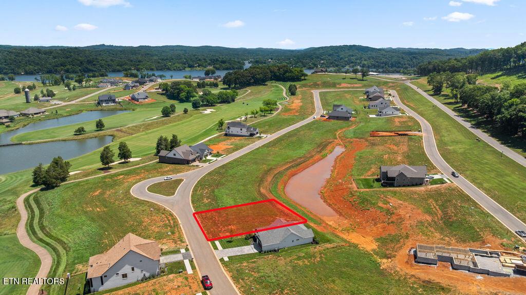 Image 3: DJI_0931