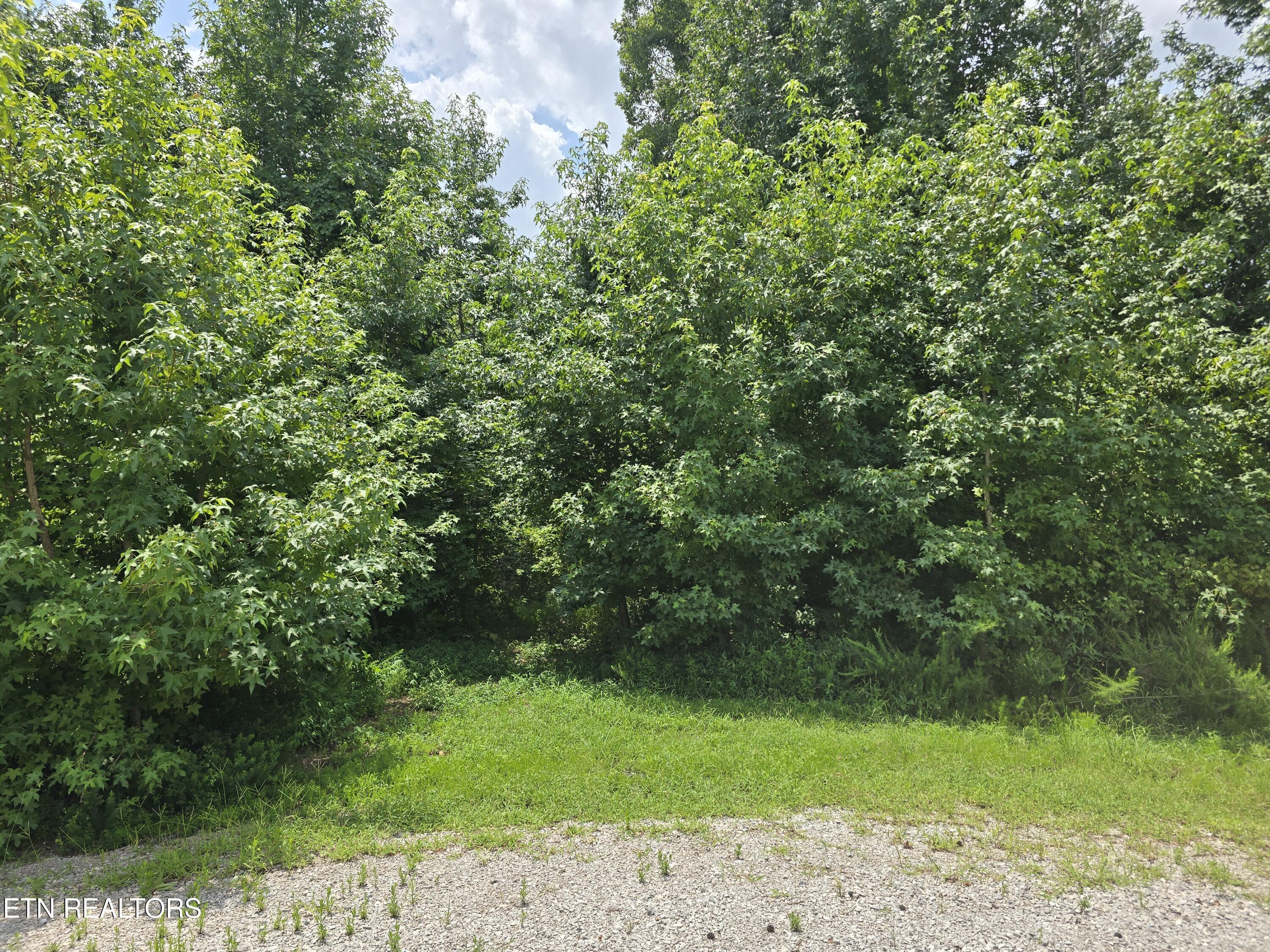 Image 3: Driveway Access