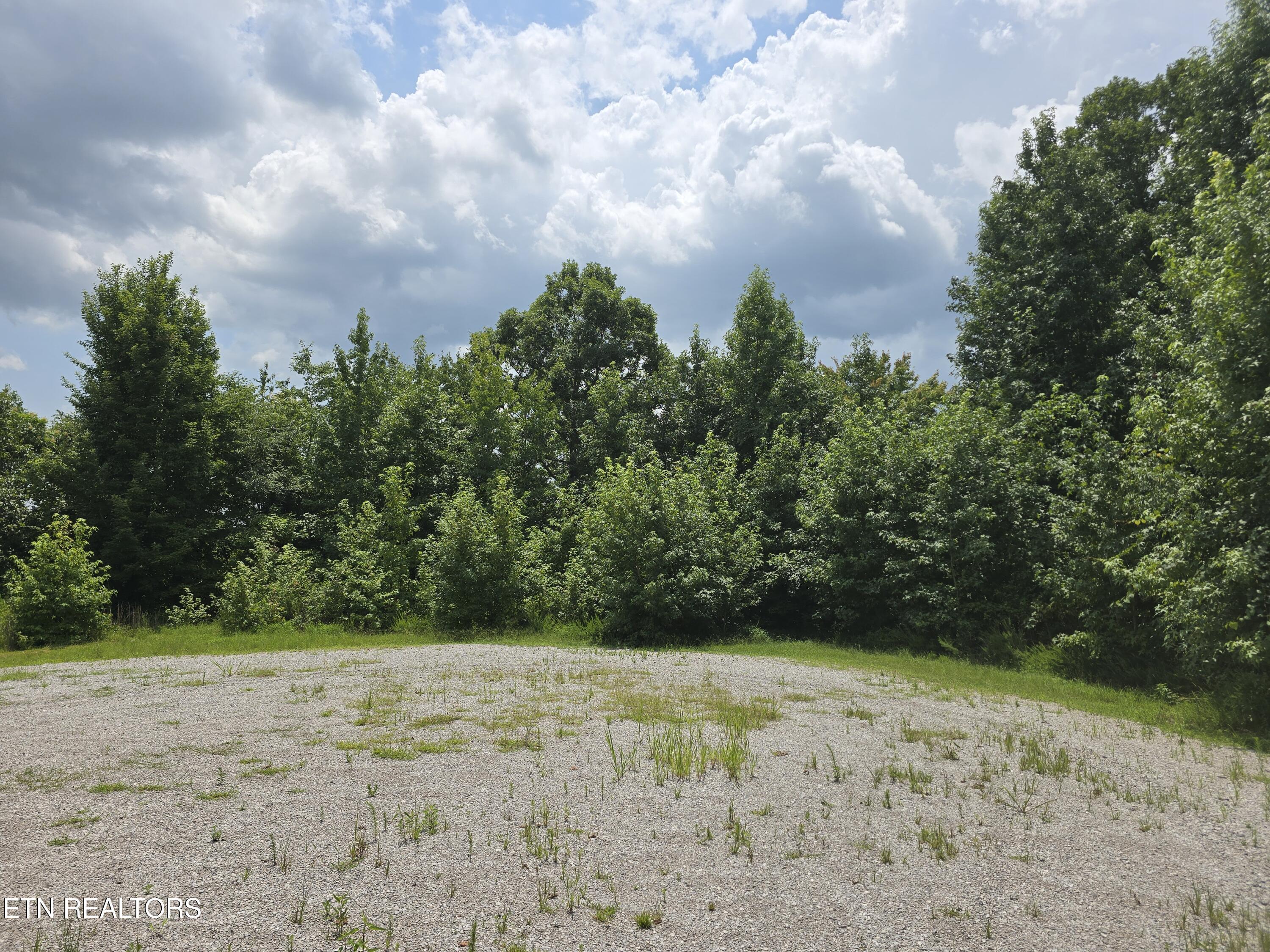 Image 4: 20260728_133729