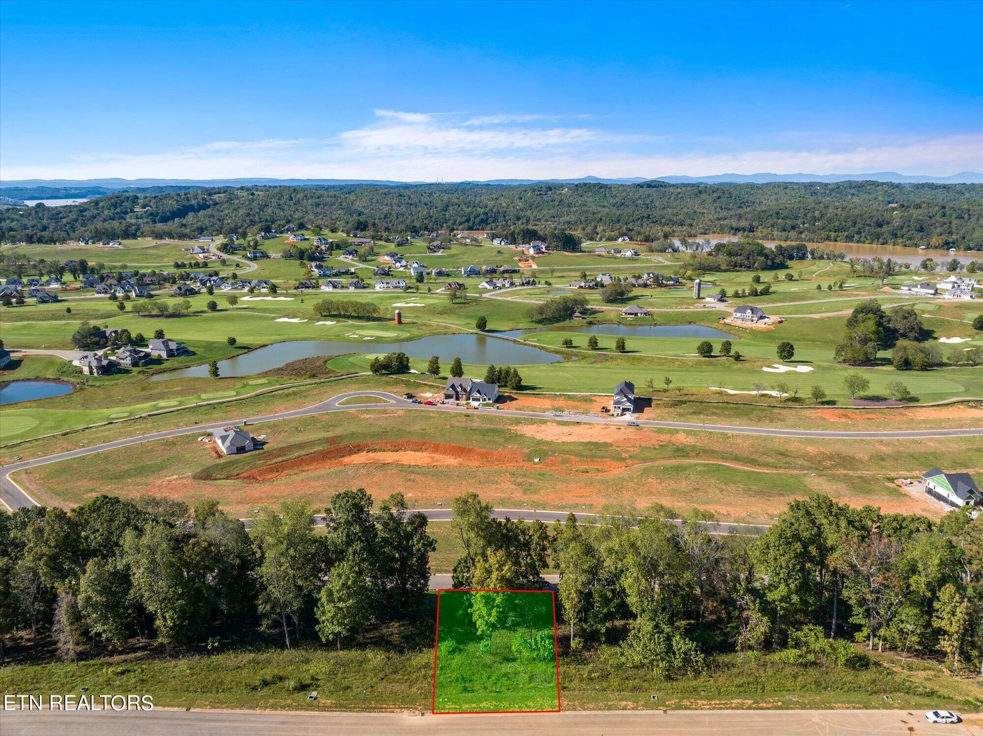 Image 2: 02-1479-Black-Cv-Ln-Loudon-TN-2