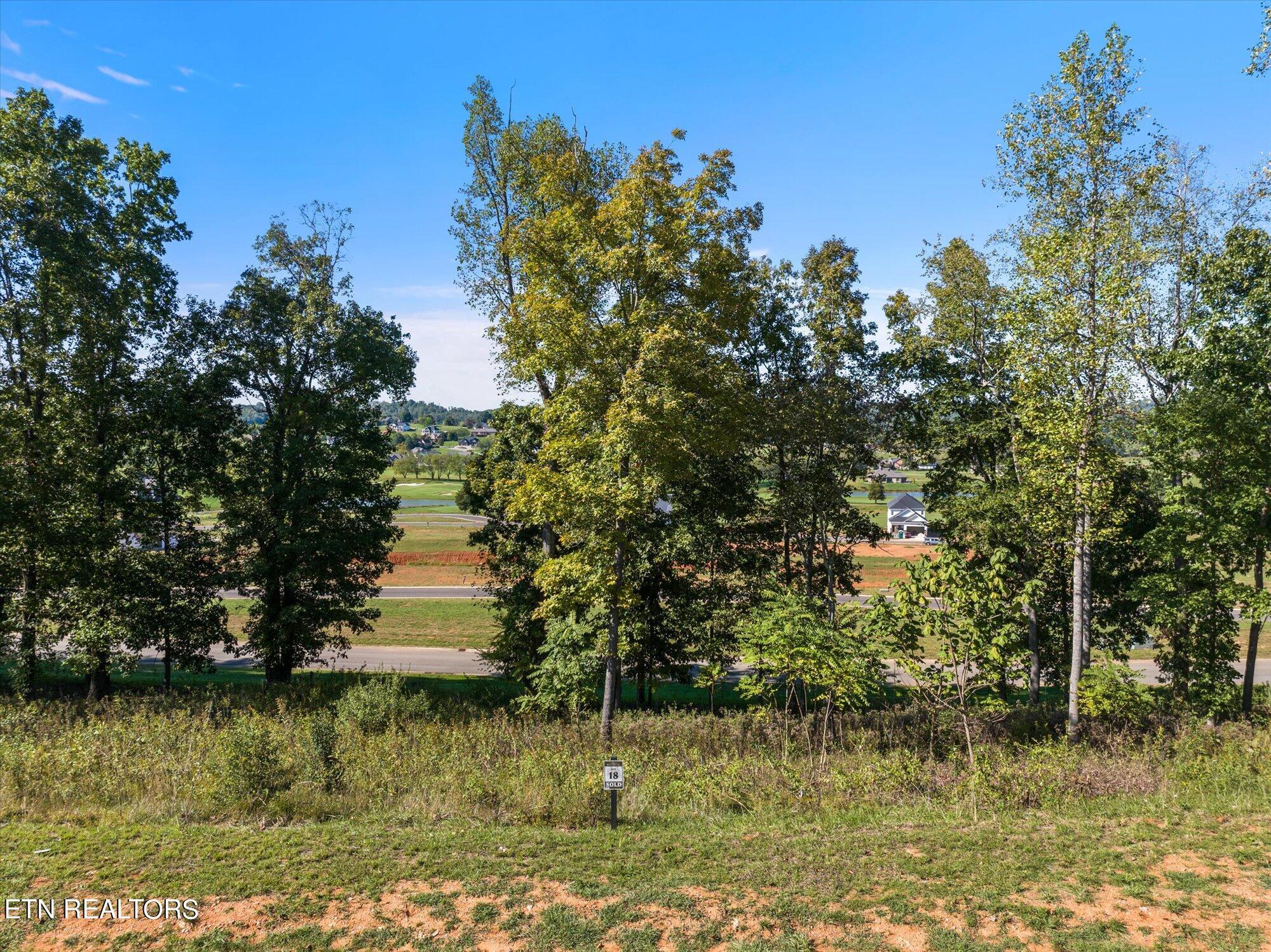 Image 3: 01-1479-Black-Cv-Ln-Loudon-TN-1