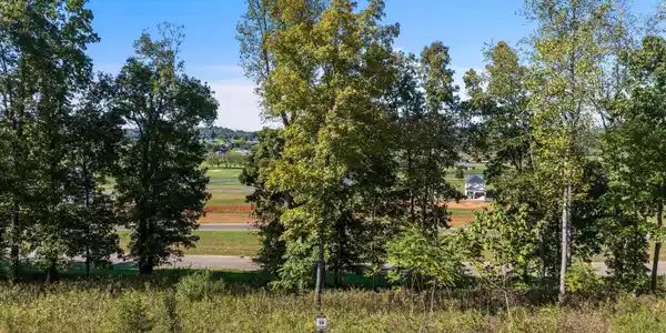 Image 3: 01-1479-Black-Cv-Ln-Loudon-TN-1