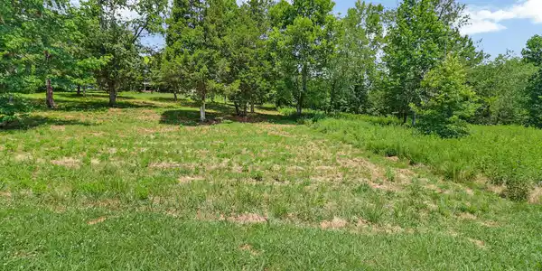Image 4: level lot