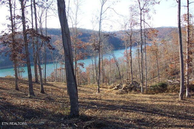 Image 4: skyline & lake