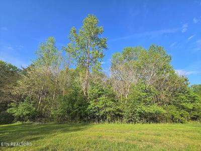 Lot 30 Indigo Bunting Drive