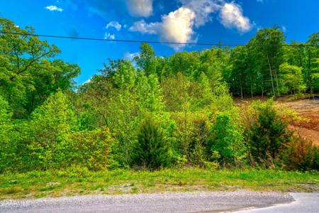 Hickory Pointe Lane