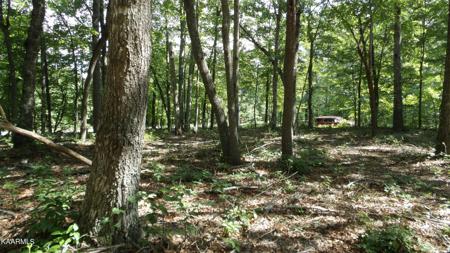 Lot 26 Cumberland Lakes Drive