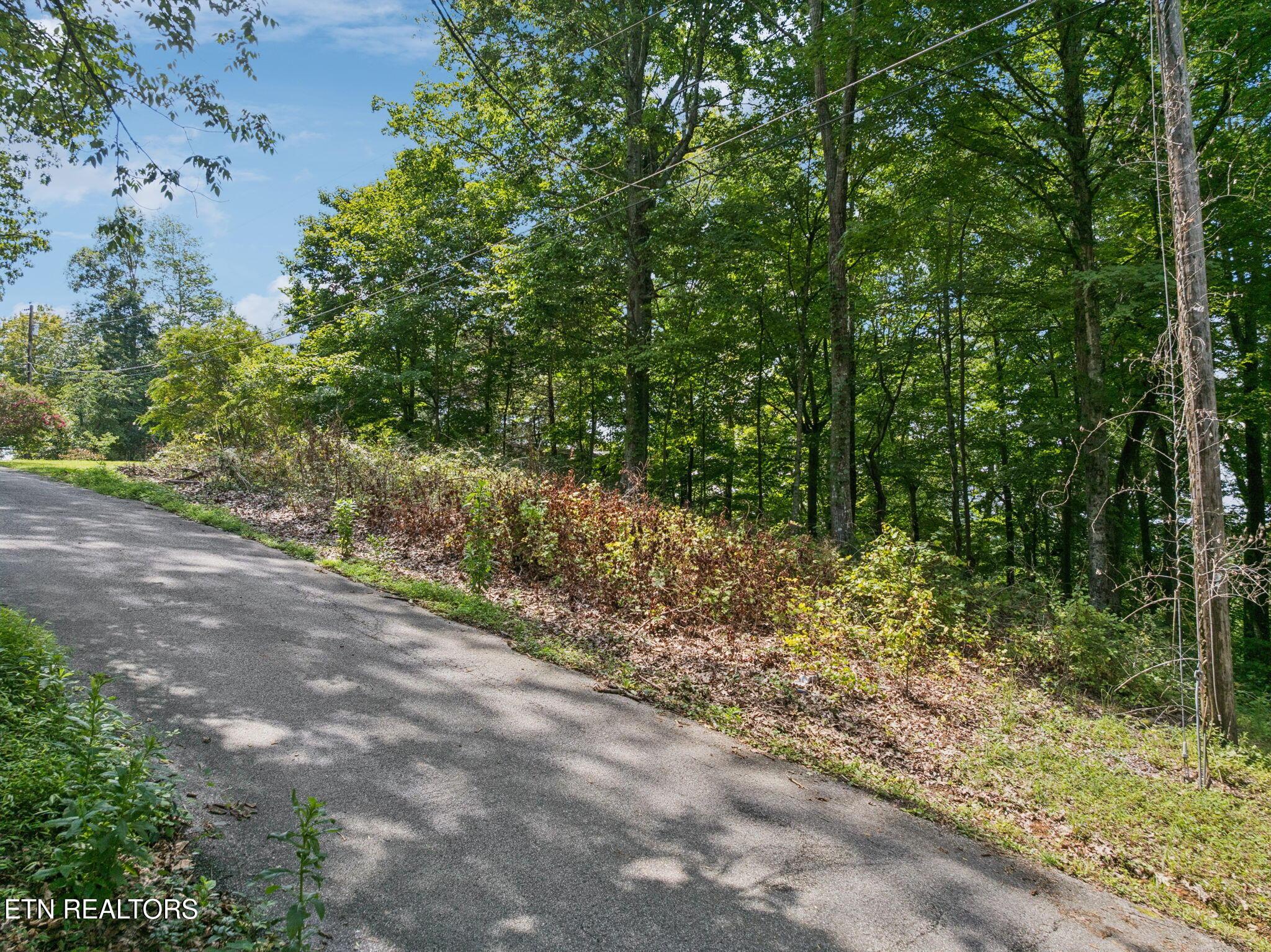 Image 3: 2-web-or-mls-Lot 228 Riverbend Dr - 002