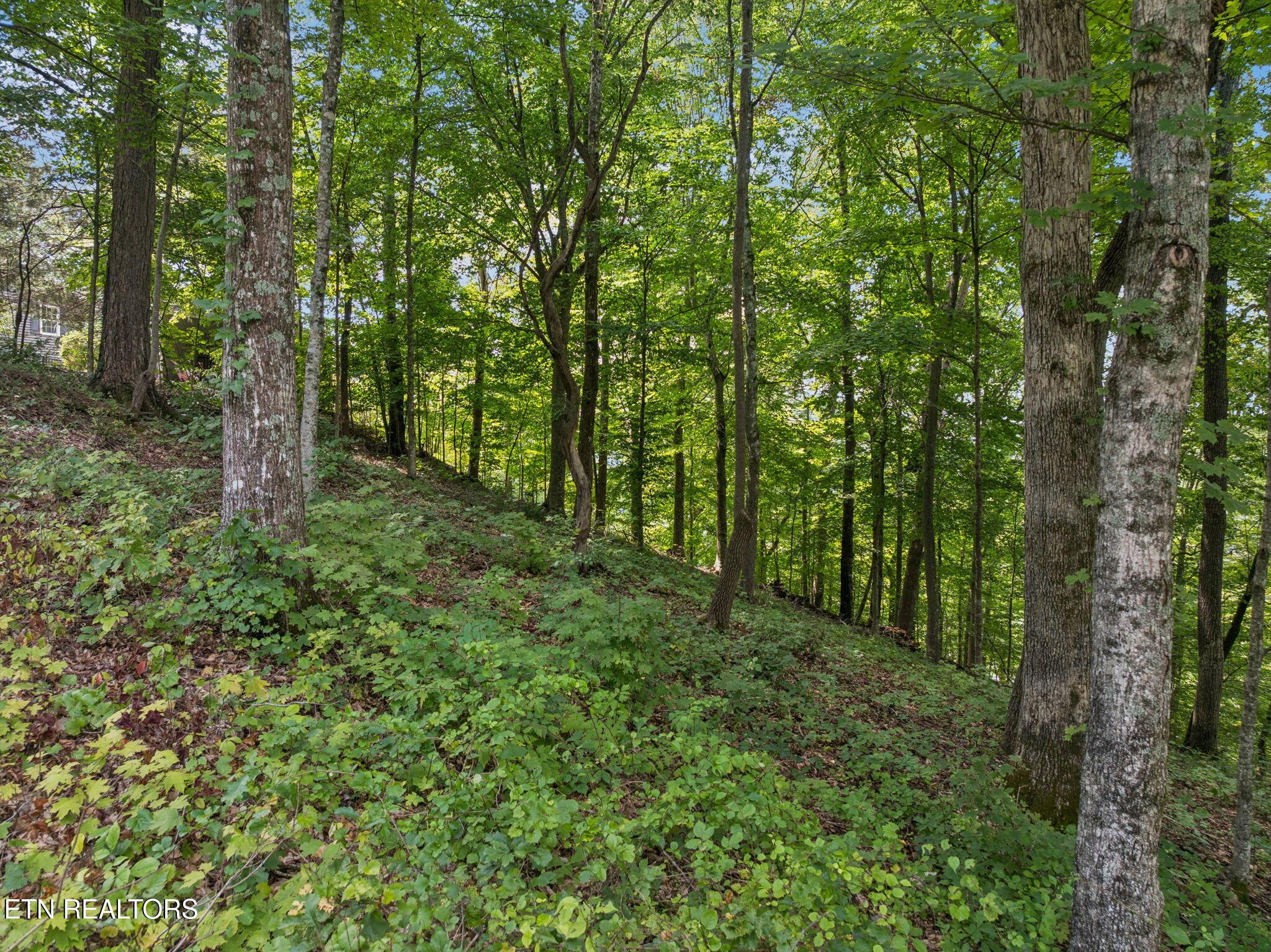 Image 4: 3-web-or-mls-Lot 228 Riverbend Dr - 003