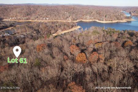 Lot 61 Hiwassee View Drive