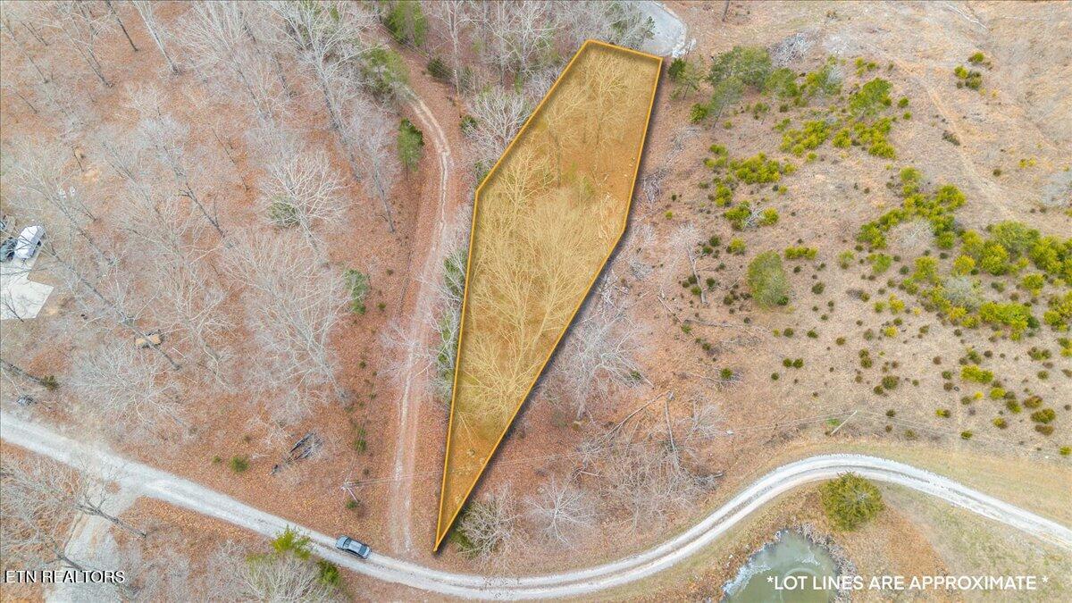 Image 2: 10-Deer pond