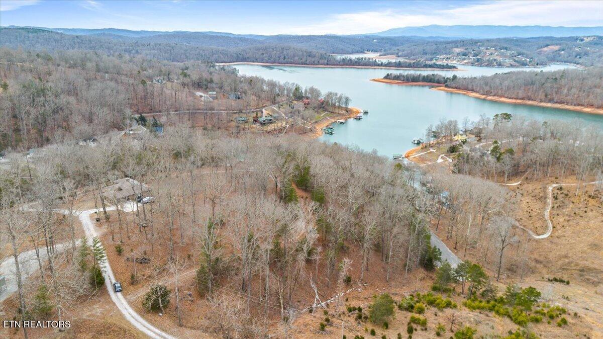 Image 4: 04-Deer pond
