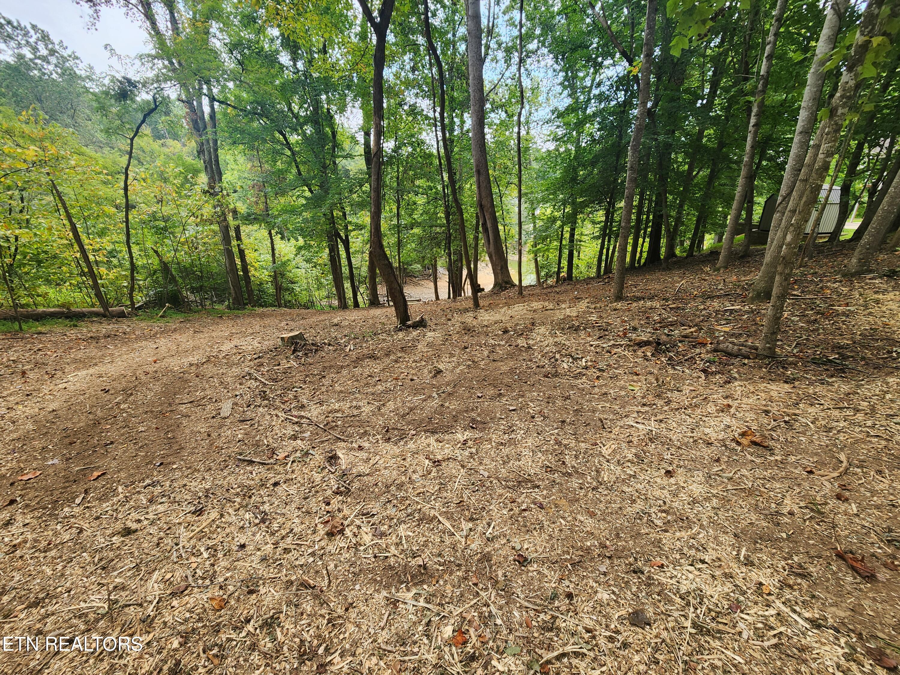 Image 1: catoosa 7