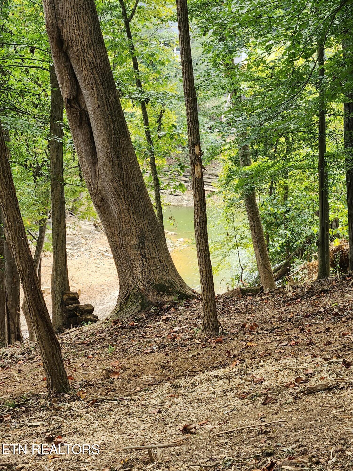 Image 4: catoosa 8