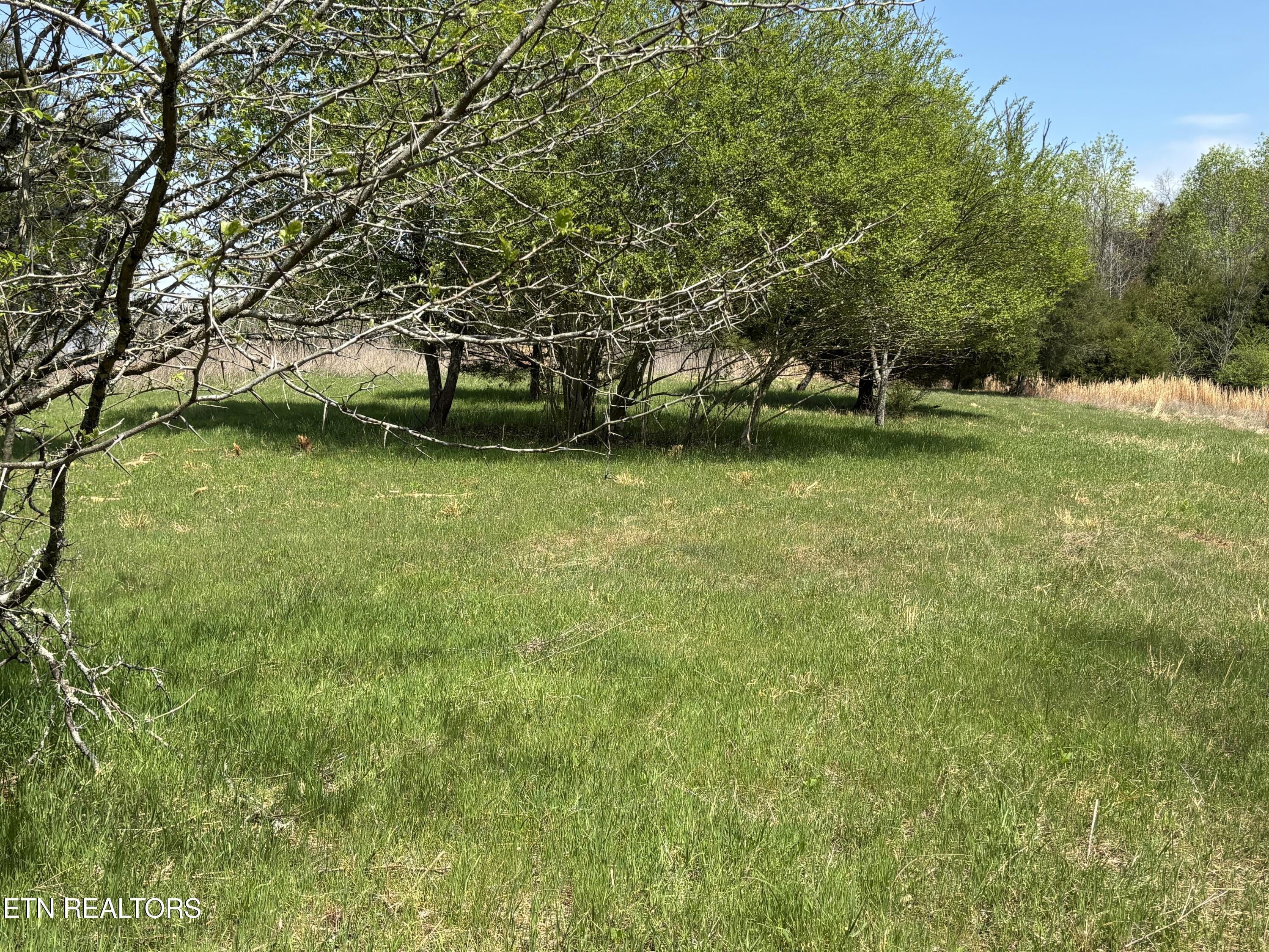 Image 3: IMG_4763