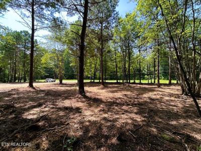 34 acres State Highway 304