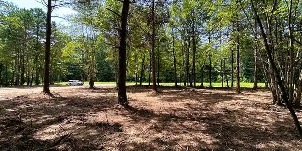 34 acres State Highway 304