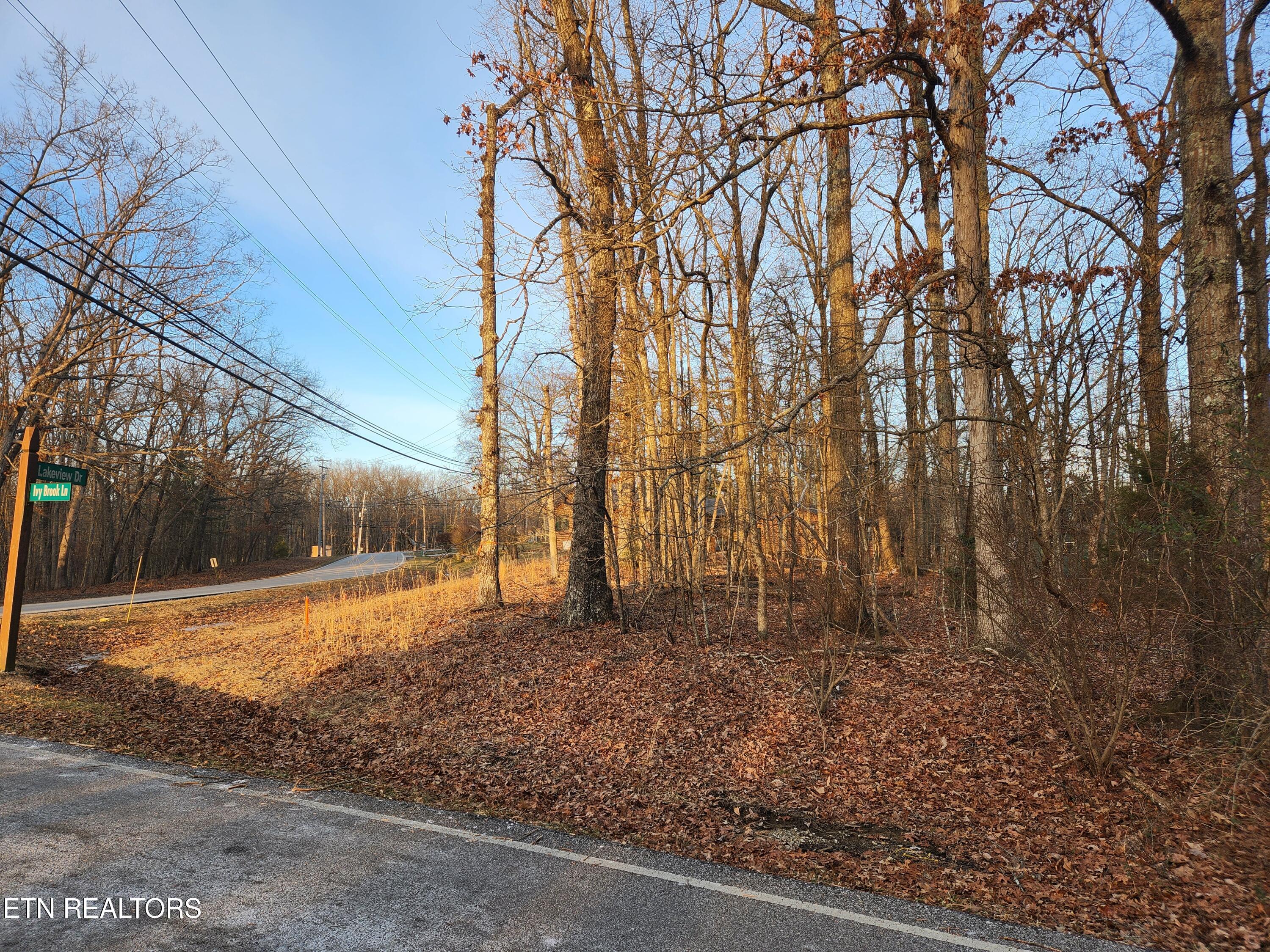 Image 2: 20260129_163122