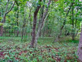 247 Amherst Lane 236