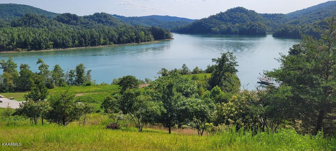 Image 1: Lake Norris Mid Lot View