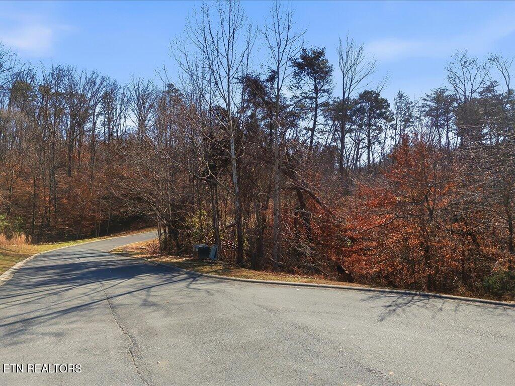 Image 2: Lot 18 Cove Springs Dr - 2