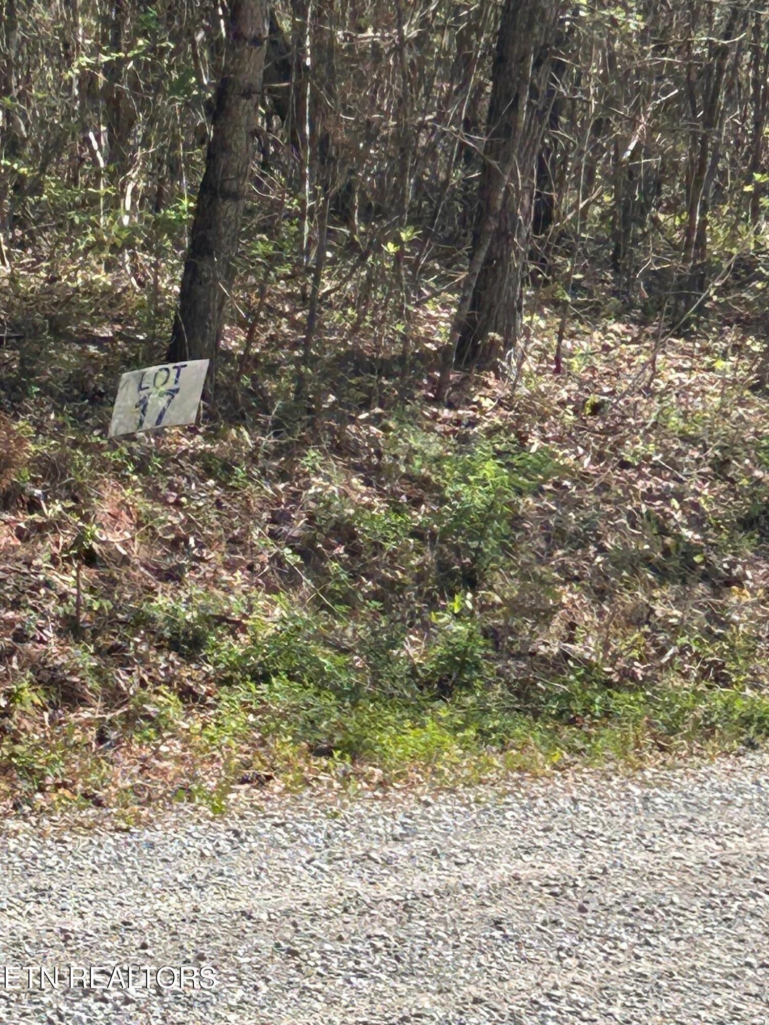 Image 3: IMG_1654