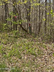 lot 28 Jones Ridge Rd