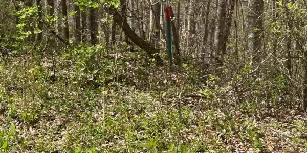 lot 28 Jones Ridge Rd