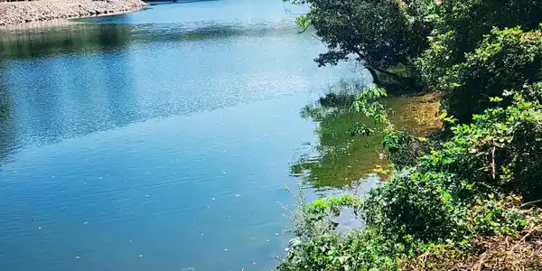 Image 2: Waterfront