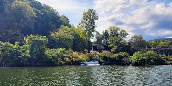 Image 4: 20240921_143218