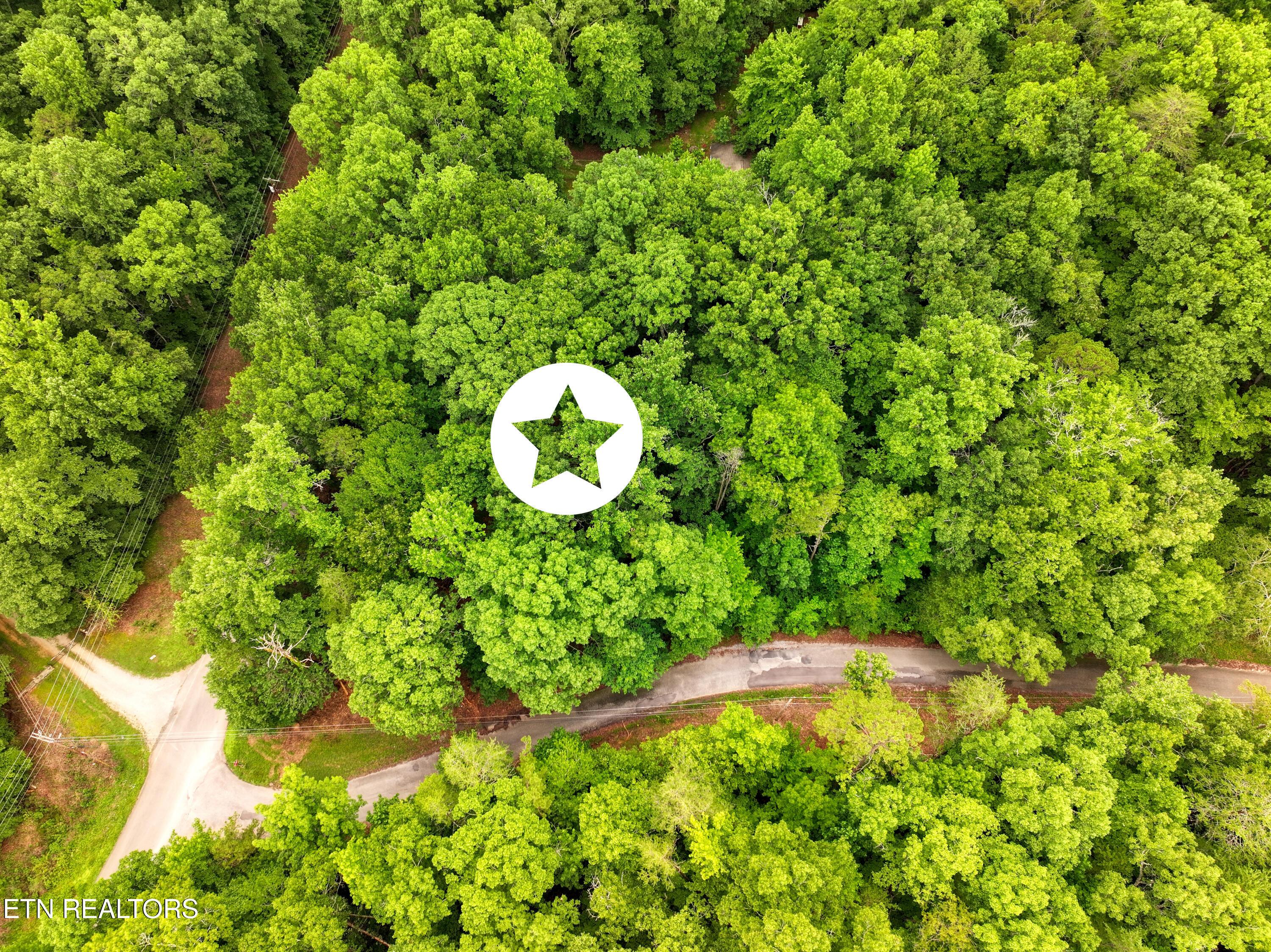 Image 3: DJI_20260715095107_0241_D_57